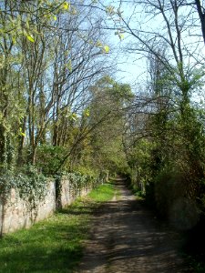 20120427Am_Bruchhuebel1