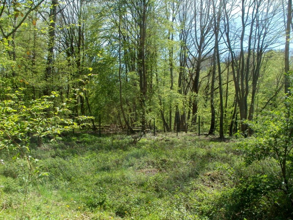 20120429Von_der_Heydt52