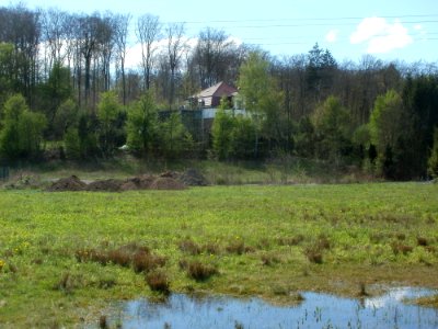 20120429Von_der_Heydt46