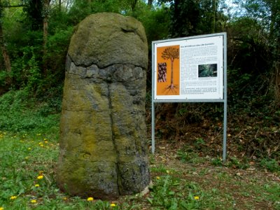 20120429Von_der_Heydt21