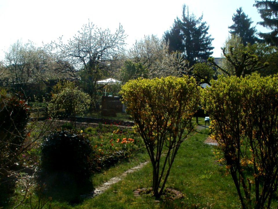 20120413Am_Bruchhuebel_Saarbruecken5