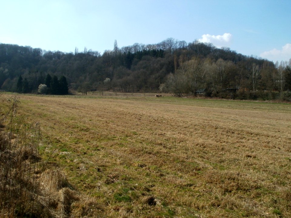 20120324Spicherer_Berg1