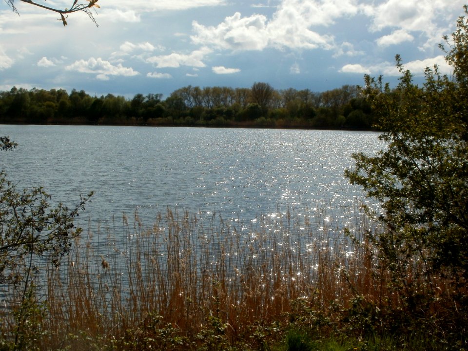 20120422Eichelgartensee1