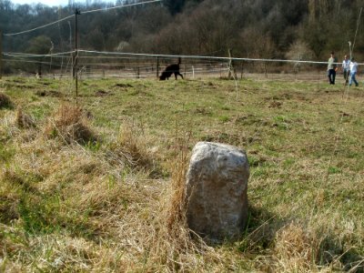 20120324Spicherer_Berg4