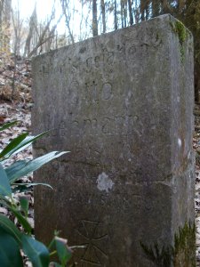 20120324Stiftswald_St_Arnual08