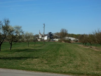 20120401Apfelbluete_Rheihausen09