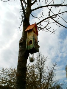 20120416Nistkasten_Staden