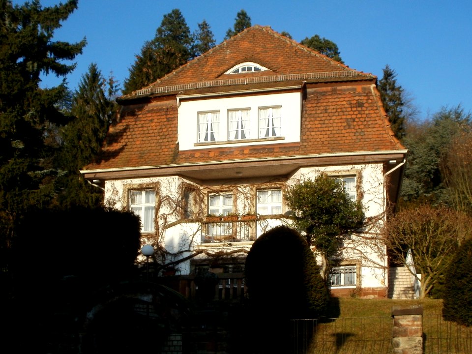 20120117Robert-Koch-Str4_Sankt_Arnual1