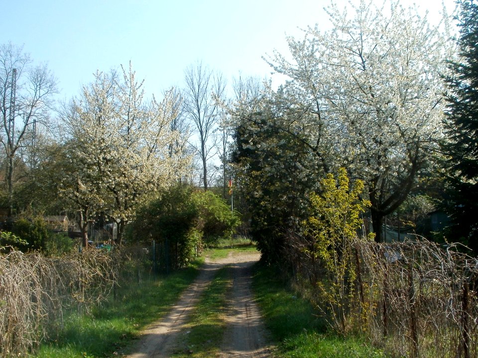 20120413Preussenstr_Saarbruecken1