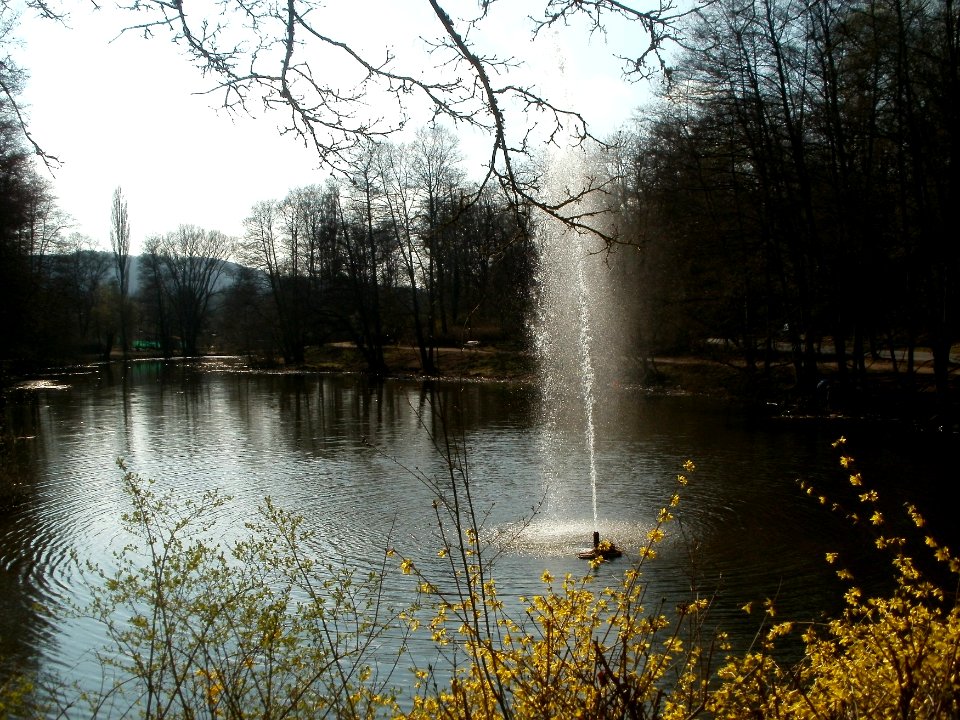 20120324Tabaksweiher2
