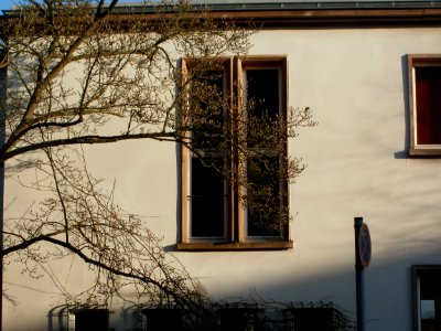 20120117Schenkelbergstr5_Sankt_Arnual3