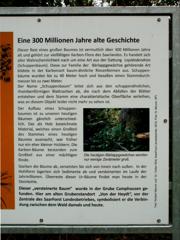 20120429Von_der_Heydt26