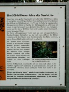 20120429Von_der_Heydt26