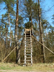 20120408Hochsitz_Altlussheim3