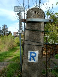 20120422Rheinauenweg6