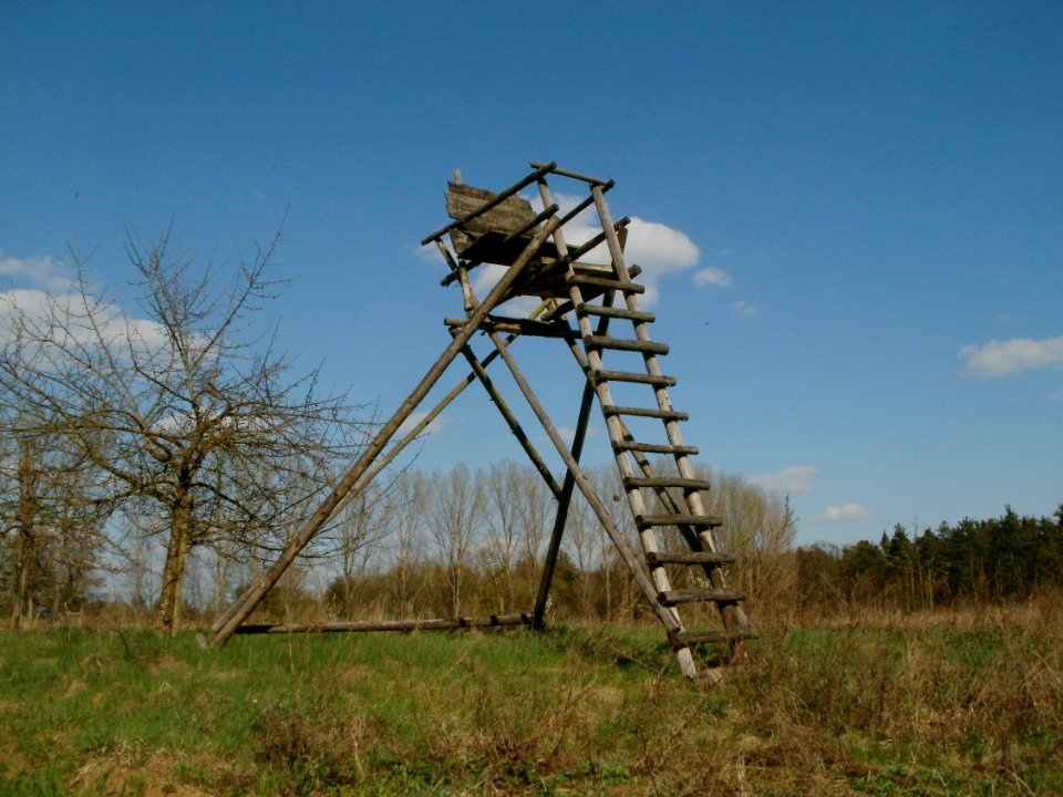 20120408Hochsitz_Altlussheim5