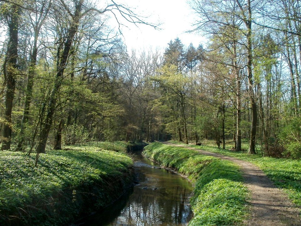 20120408Kriegbach_Altlussheim6