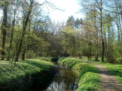 20120408Kriegbach_Altlussheim6