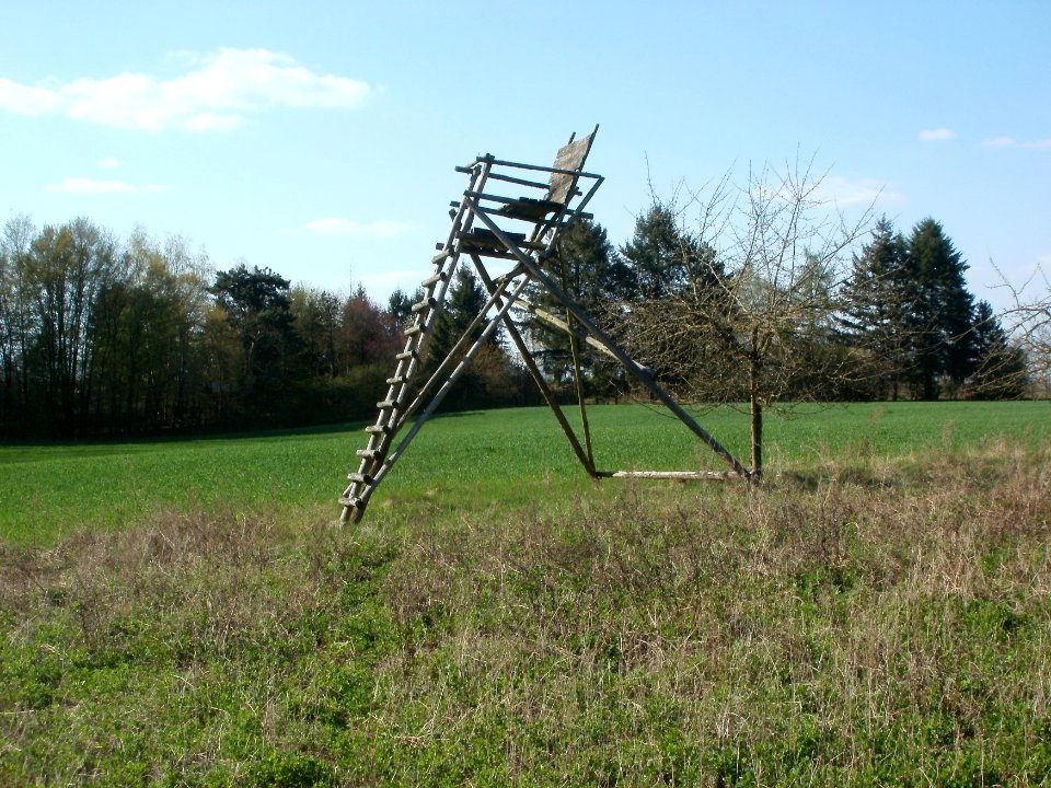 20120408Hochsitz_Altlussheim9