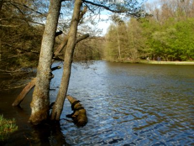 20120429Burbacher_Waldweiher02