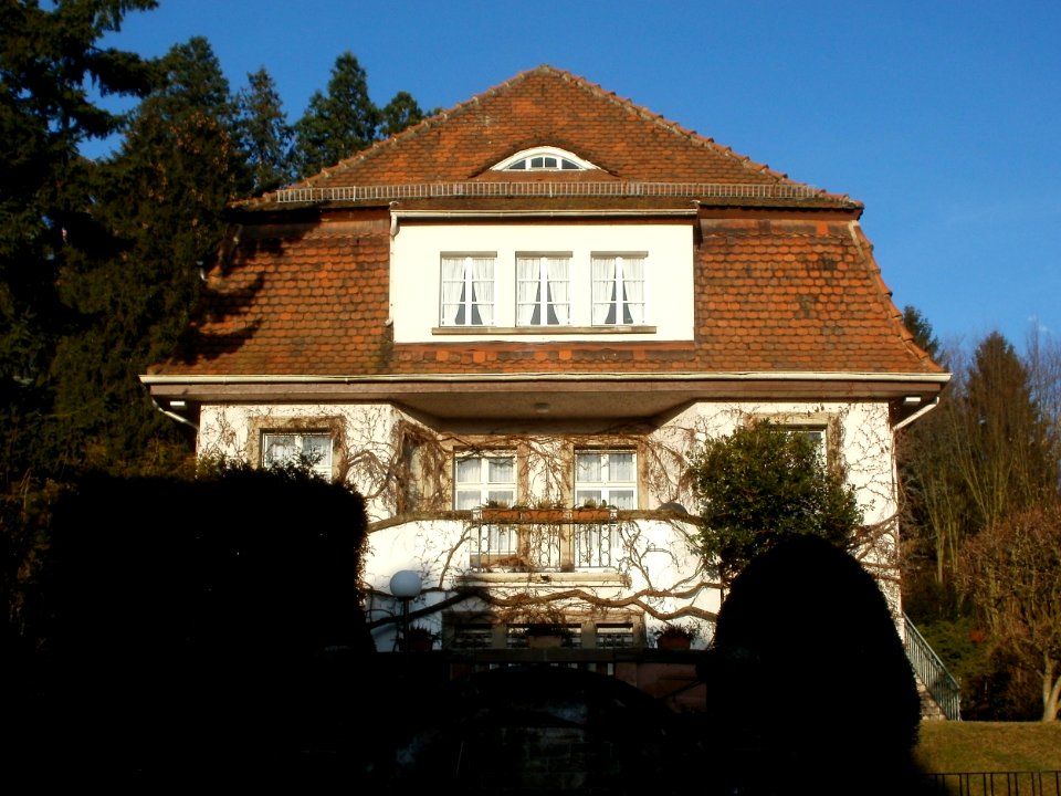 20120117Robert-Koch-Str4_Sankt_Arnual3