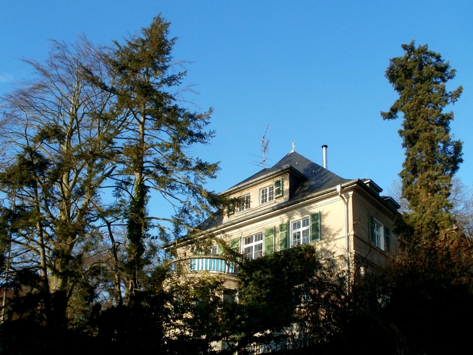 20120117Robert-Koch-Str6_Sankt_Arnual2