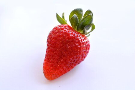 Cool nature red fruits