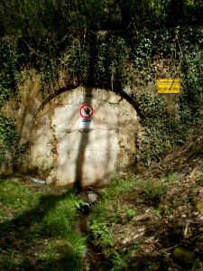 20120429Von_der_Heydt39