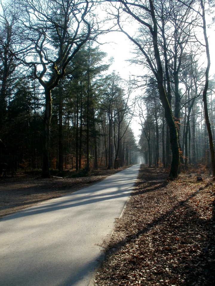 20120315Vesperhaus_Walldorf3