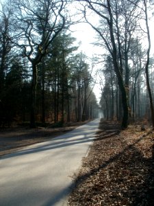 20120315Vesperhaus_Walldorf3