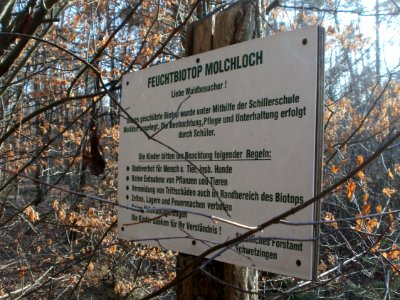 20120315Molchloch3