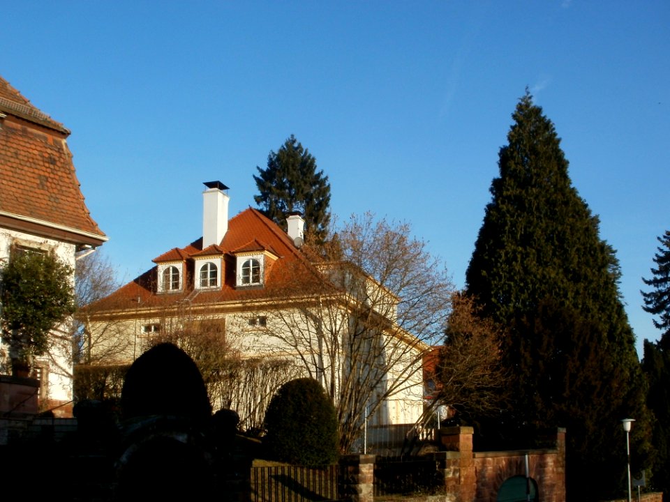 20120117Robert-Koch-Str2_Sankt_Arnual3