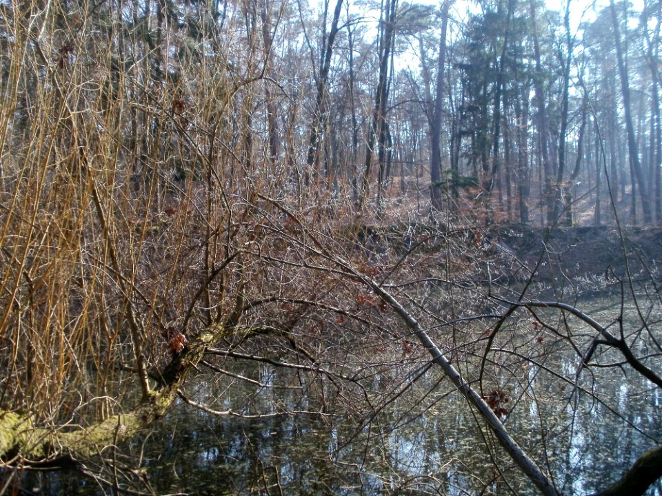 20120315Wasserloch_Hoher_Stein2