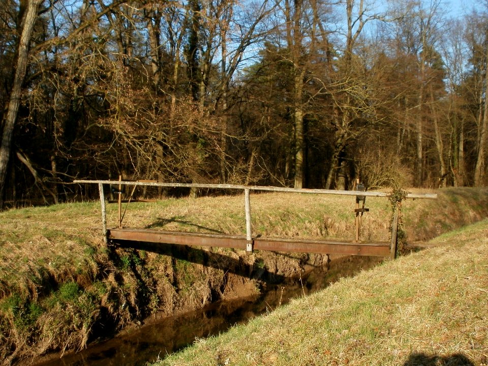 20120315Hardtgraben5