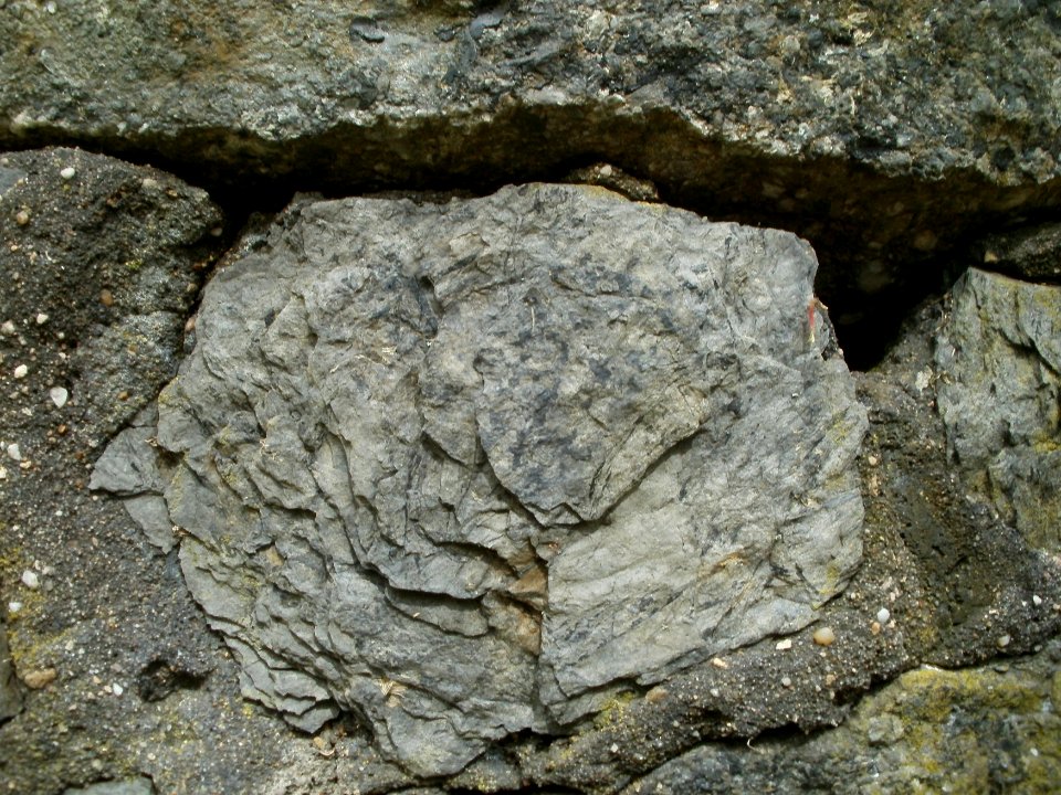20120429Von_der_Heydt25