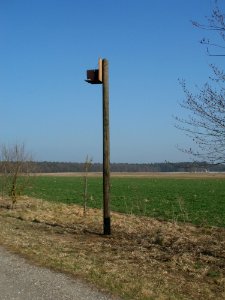 20120315Nistkasten_Hockenheim1