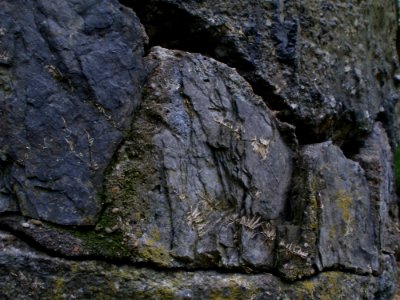 20120429Von_der_Heydt24