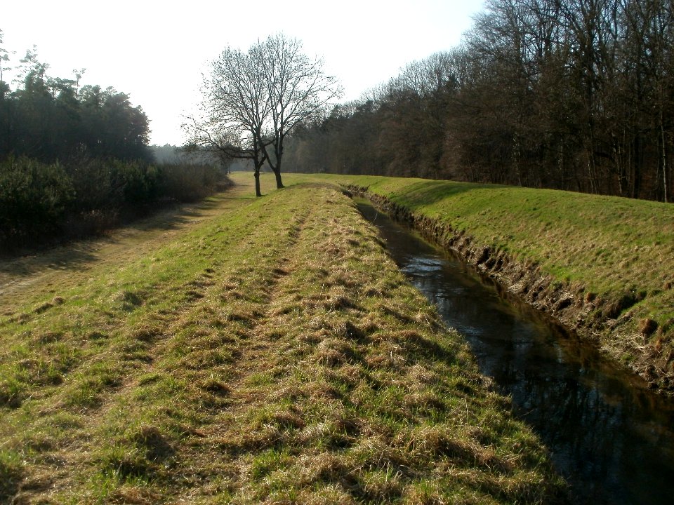 20120316Hardtgraben