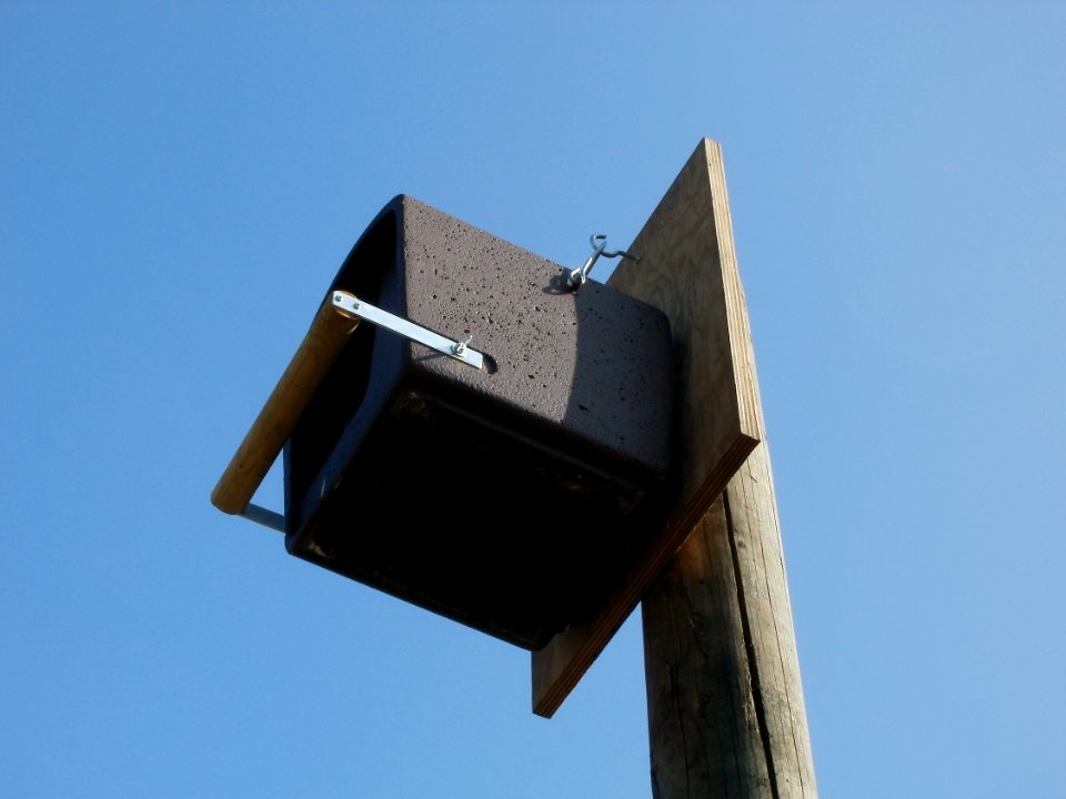 20120315Nistkasten_Hockenheim2