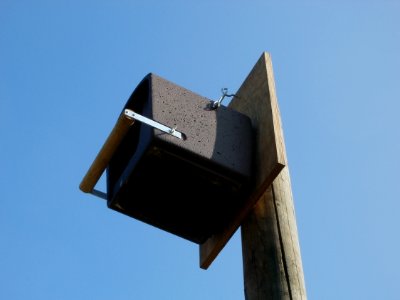 20120315Nistkasten_Hockenheim2