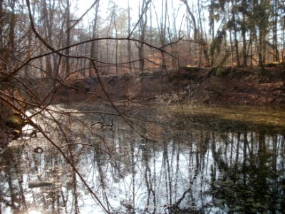 20120315Wasserloch_Hoher_Stein3