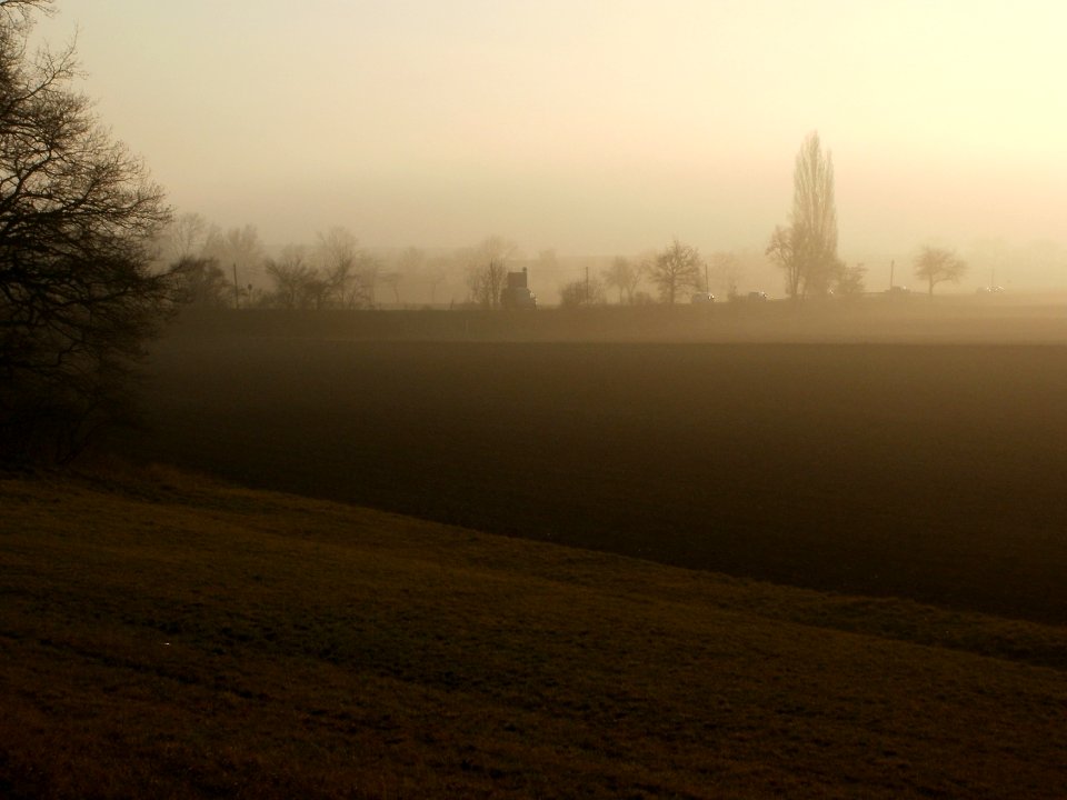 20120125Nebel_Hockenheim03