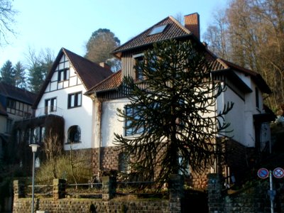 20120117Schenkelbergstr2_Sankt_Arnual3