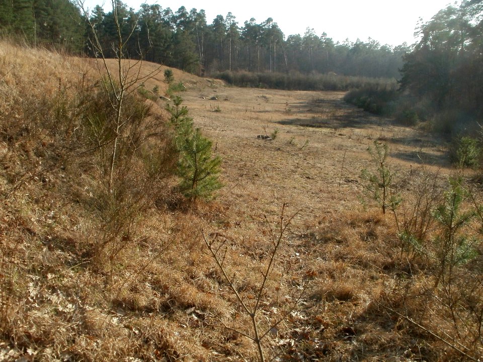 20120316Ostkurve4