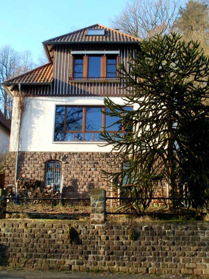 20120117Schenkelbergstr2_Sankt_Arnual2