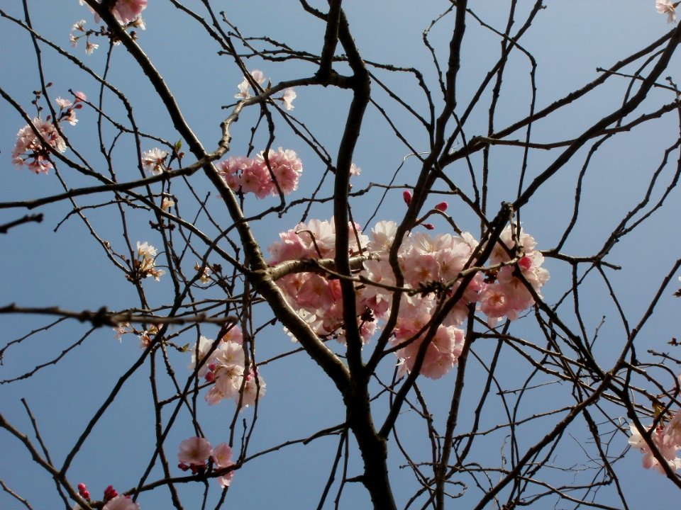 20120327Fruehling_Hockenheim2