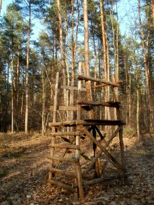 20120316Hochsitz_Hockenheim4