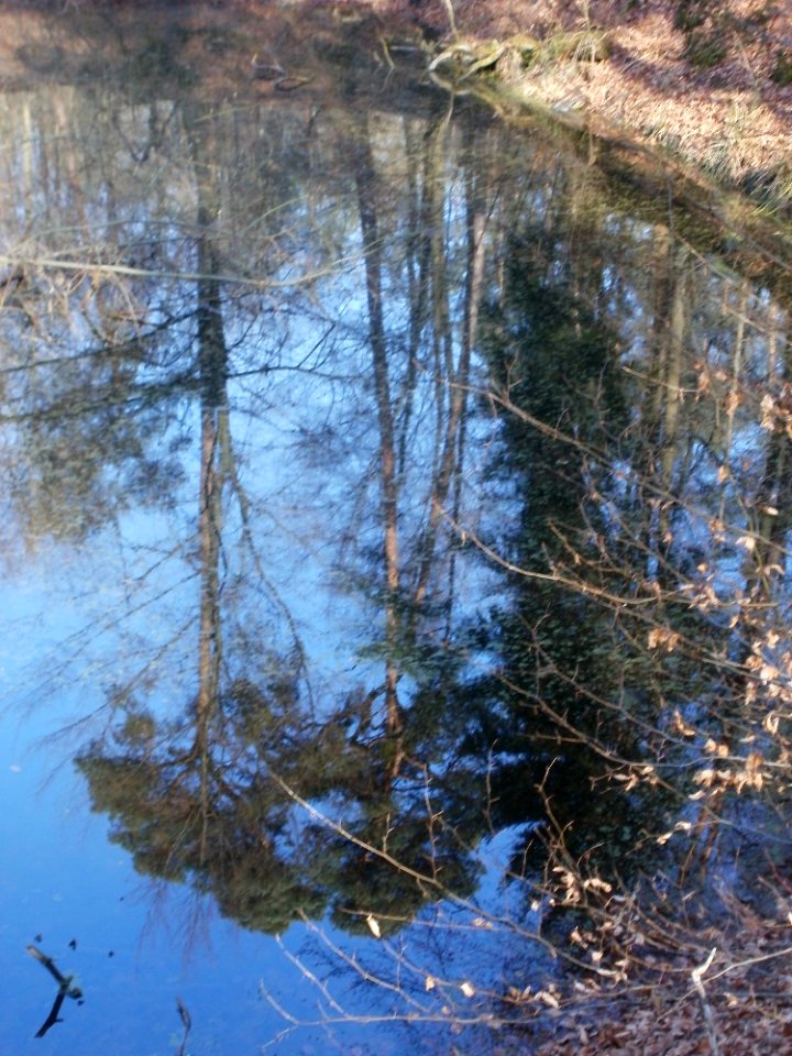 20120315Wasserloch_Hoher_Stein5
