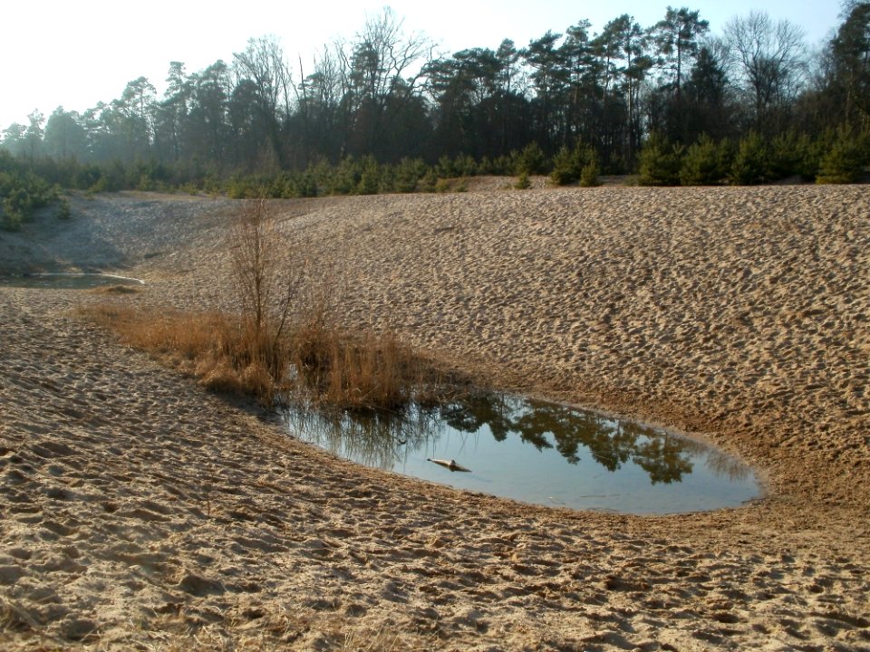 20120315Wasserloch_Hockenheimring3