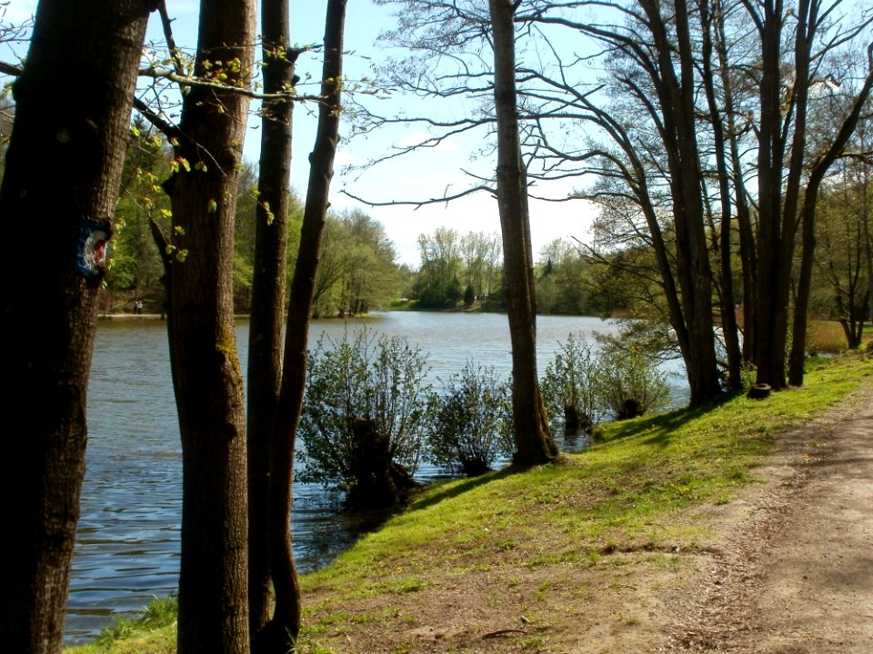 20120429Burbacher_Waldweiher05